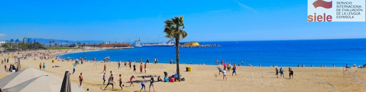 Spanish course Vocational Spain Siele estrecha2 (2)